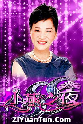 SS小燕之夜电影海报