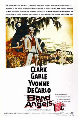 金汉艳奴封面图