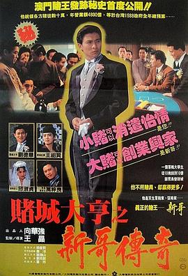 赌城大亨之新哥传奇封面图