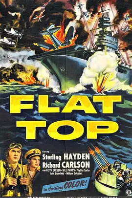 王牌飞行员封面图