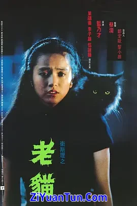 卫斯理之老猫封面图
