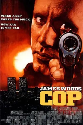 铁警争锋封面图