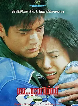 浪漫风暴封面图