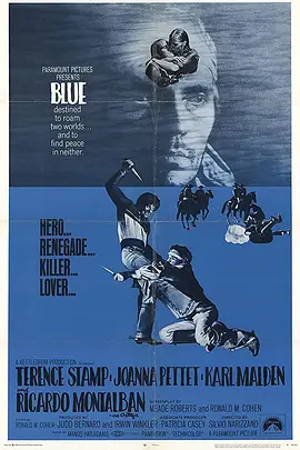 壮士山河血封面图