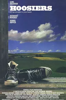 篮坛怪杰封面图