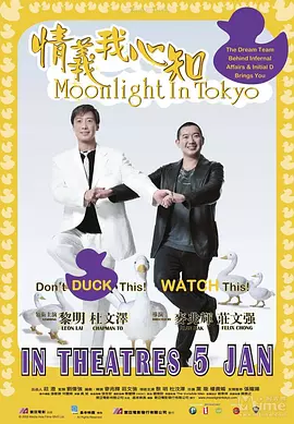 情义我心知封面图