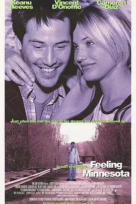 爱上明尼苏达封面图