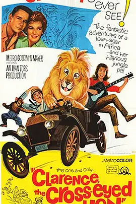 斗鸡眼狮子封面图