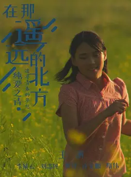 在那遥远的北方封面图