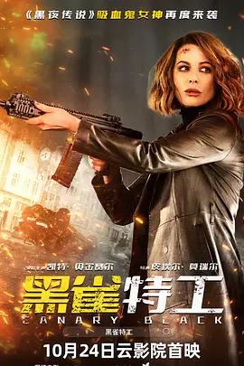 黑雀特工封面图