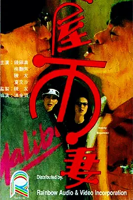 一屋两妻封面图