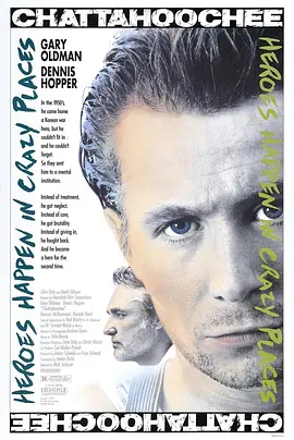 杏林血泪封面图