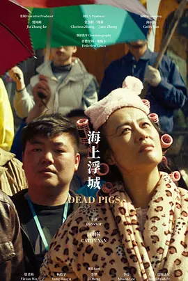 海上浮城封面图