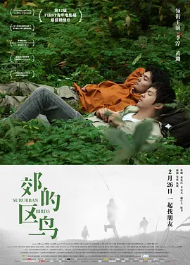 郊区的鸟封面图