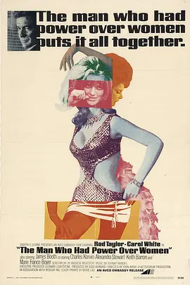 偷心情圣封面图