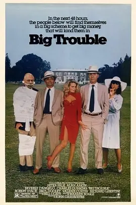 小心眼大阴谋封面图