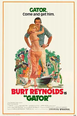 霹雳猛虎续集封面图