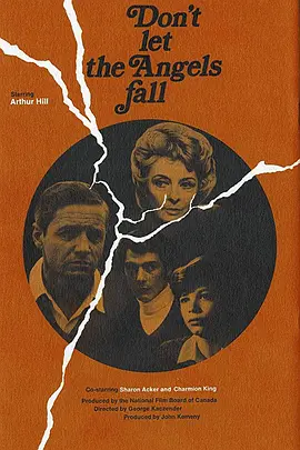 不要让天使坠落封面图