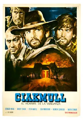 四大煞星封面图