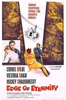 高空肉搏战封面图