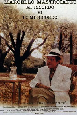 星光在我心封面图