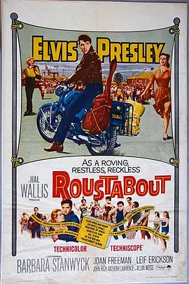 流浪歌手封面图