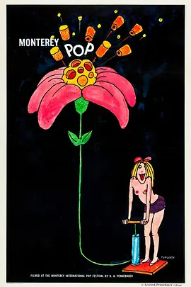 蒙特雷流行音乐节封面图