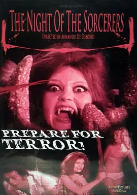 黑夜巫师封面图