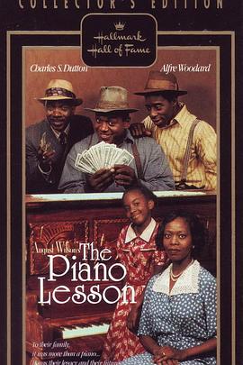 琴韵深情封面图