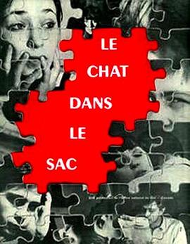 袋子里的猫封面图