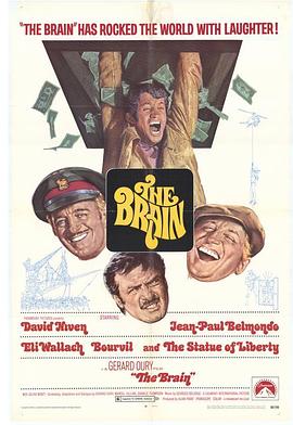 笨贼夺宝封面图