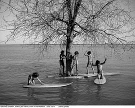 冲浪野趣封面图