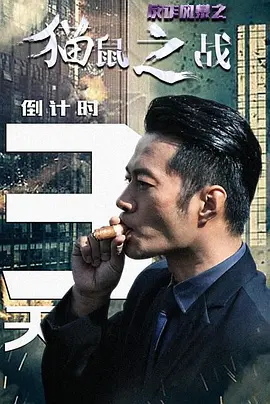 反诈风暴之猫鼠之战封面图