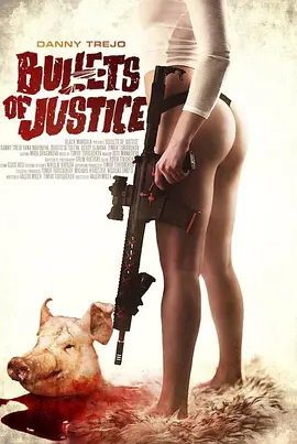 正义的子弹封面图