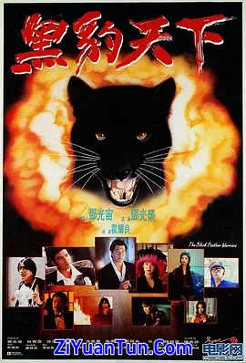 黑豹天下封面图