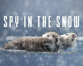 冰雪间谍封面图