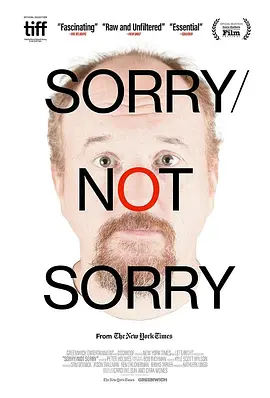 Sorry\/Not Sorry封面图