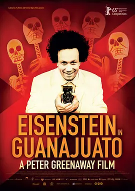 爱森斯坦在瓜纳华托封面图