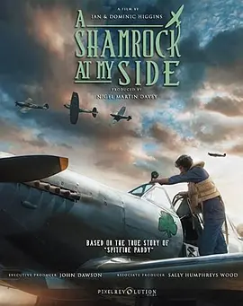 我身边的三叶草封面图