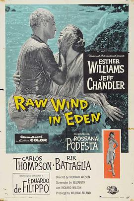 出水天鹅封面图