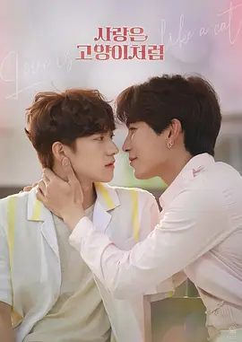 爱情像猫一样封面图