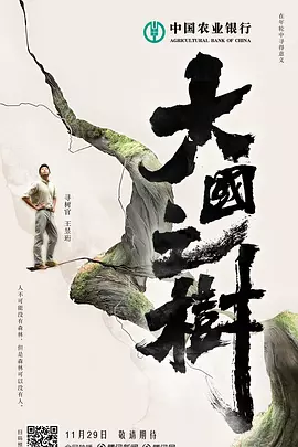 大国之树封面图