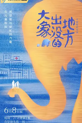 大象出没的地方封面图