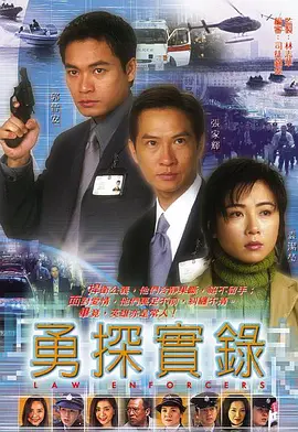 勇探实录封面图
