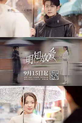 明知故爱封面图