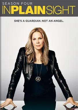 平地风云 第四季封面图