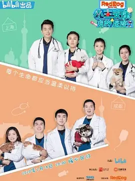 小主安康－宠物医院2封面图