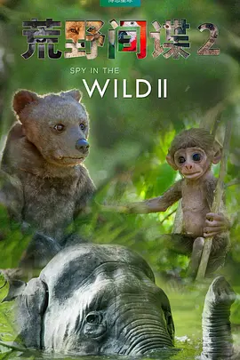 荒野间谍 第二季封面图