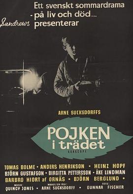 树上男孩封面图