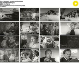 孤独的面纱封面图